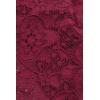 Woman’s Lace Brazilian(Red – Beet Red)