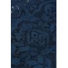 Woman’s Microfiber Lace Brazilian(Blue – Peacock Blue)