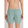 Man’s Green Stripe Print Swim Trunks(Green – Stampa Riga Bianco Verde Scuro)
