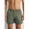 Man’s Shine Swim Trunks(Green – Thyme Green)