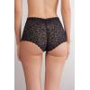 Woman’s Lace High Waist Hipster(Black – Black)